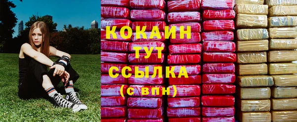 ПСИЛОЦИБИНОВЫЕ ГРИБЫ Медногорск
