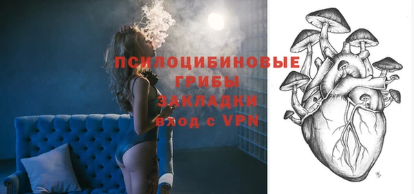 ПСИЛОЦИБИНОВЫЕ ГРИБЫ Медногорск