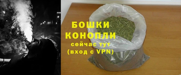 ПСИЛОЦИБИНОВЫЕ ГРИБЫ Медногорск