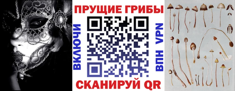 ссылка на мегу ONION  Пыть-Ях  Галлюциногенные грибы Psilocybe 